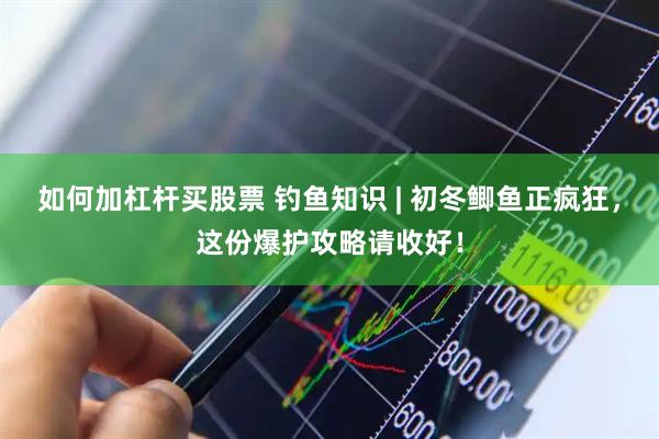 如何加杠杆买股票 钓鱼知识 | 初冬鲫鱼正疯狂，这份爆护攻略请收好！