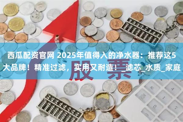 西瓜配资官网 2025年值得入的净水器：推荐这5大品牌！精准过滤，实用又耐造！_滤芯_水质_家庭